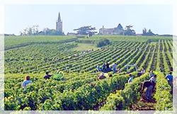 Bordeaux, célèbre par ses vignobles